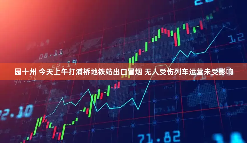 园十州 今天上午打浦桥地铁站出口冒烟 无人受伤列车运营未受影响