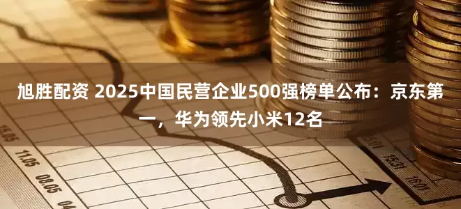 旭胜配资 2025中国民营企业500强榜单公布：京东第一，华为领先小米12名